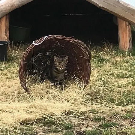 Privat Migac منزل للإقامة فربوف