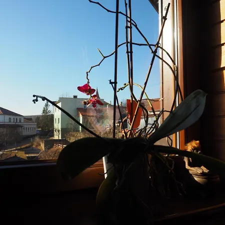 Ubytování v soukromí Privát Migáč *